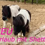 Апартаменты Revival Ranch *