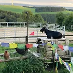 Revival Ranch
