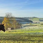 Revival Ranch
