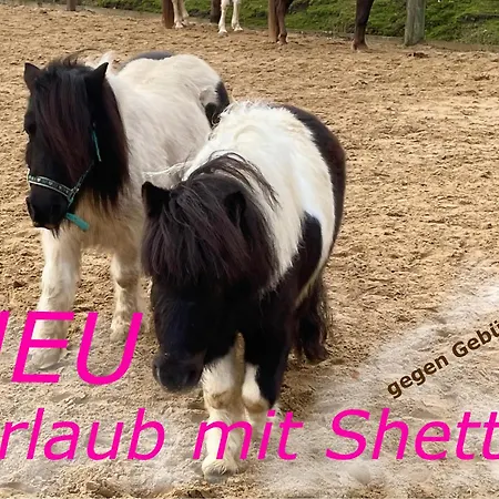 Apartment Revival Ranch *