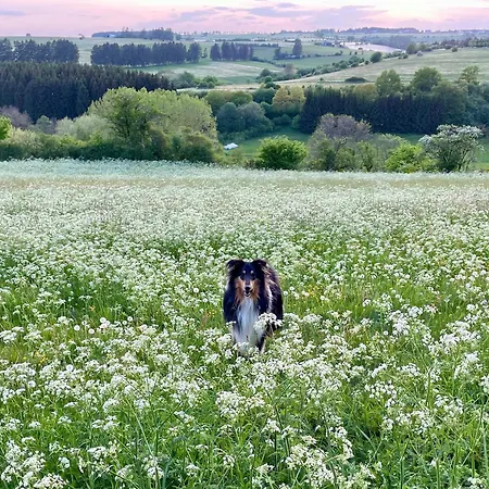 Revival Ranch Apartment