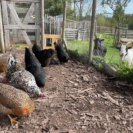 Revival Ranch Apartmán Bullange